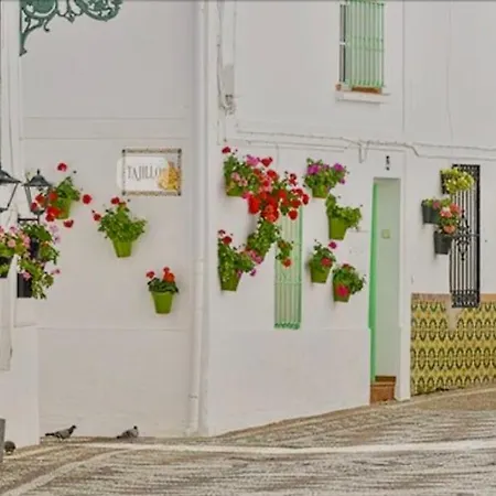 E&d Holiday home Nerja